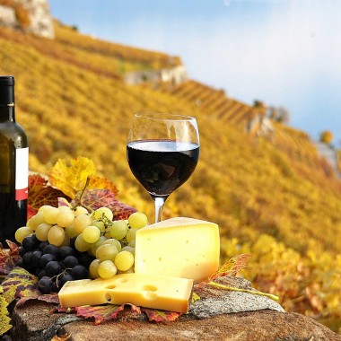 Экскурсия на семейную винодельню + отдых в оздоровительном комплексе из Одессы