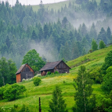 Тур на Драгобрат на 3 дні влітку. Збір грибів і ягід