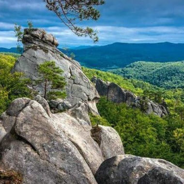 Тур в Закарпатье на 4 дня летом + Скалы Довбуша