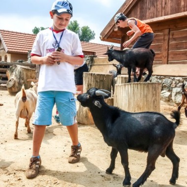 Экскурсия на экоферму "Копиця сіна" из Киева