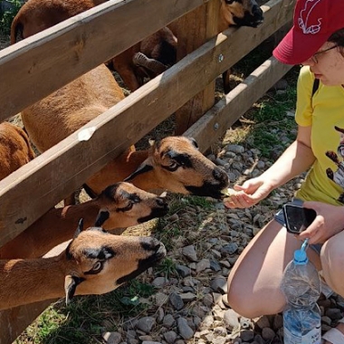 Екскурсія в Ранчо Хайленд + Сироварня Бараново