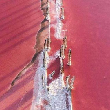 Лиман Куяльник