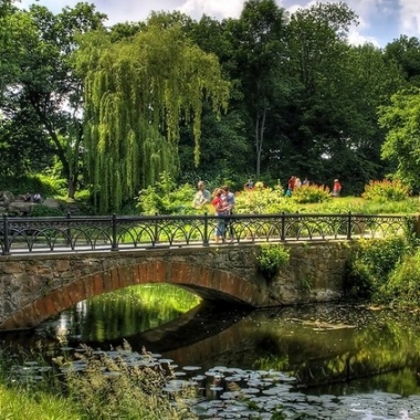 Дендропарк Александрия