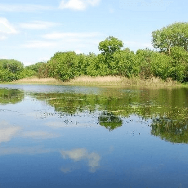 Луганский природный заповедник