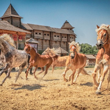 Екскурсія до парку Київська Русь