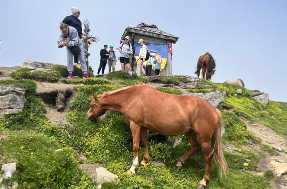 картинка Петрос 