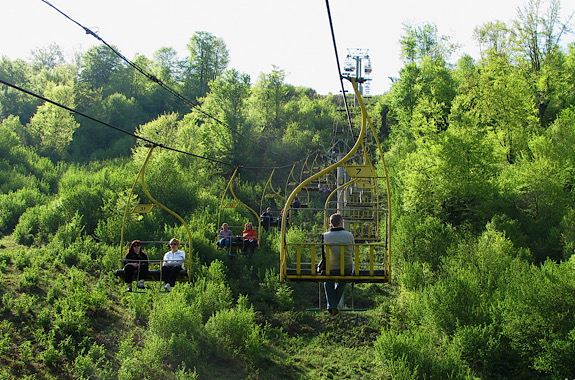 картинка Маковица