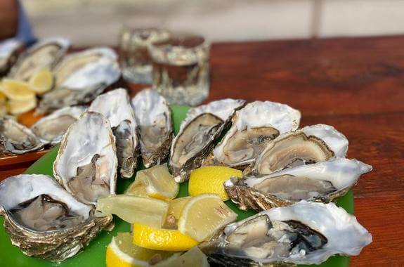 картинка Скифии устрицы