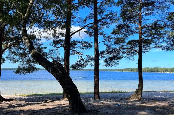 зображення Білого озера