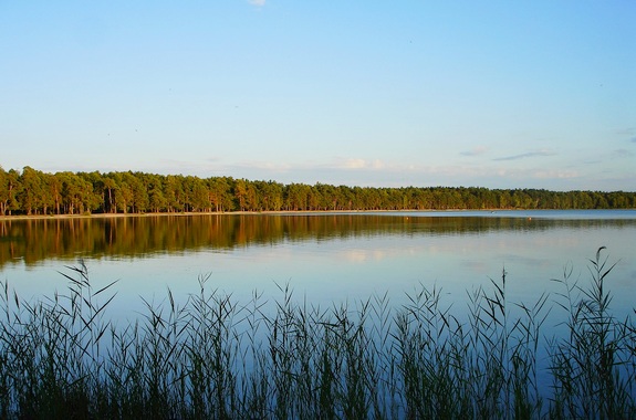 зображення Білого озера
