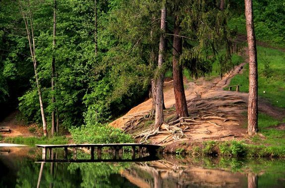 картинка Дендропарк Нескучное 