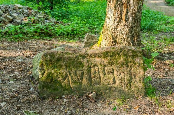 картинка Дендропарк