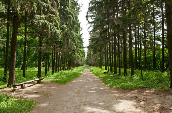 картинка Дендропарк Краснокутский