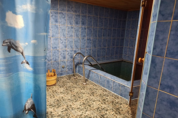 Картинка відпочинок у карпатській бані