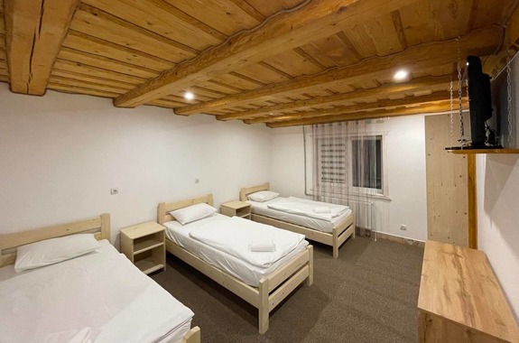 Тур до Карпат