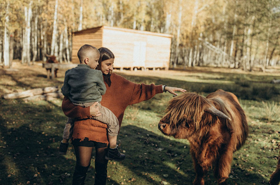 Картинка экскурсия на ферму буйволов 