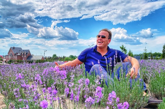 Картинка цветение лаванды