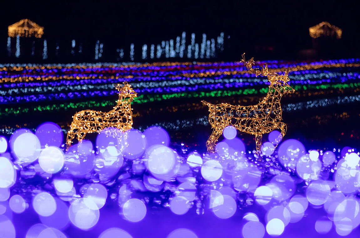 Картинка зимний добропарк