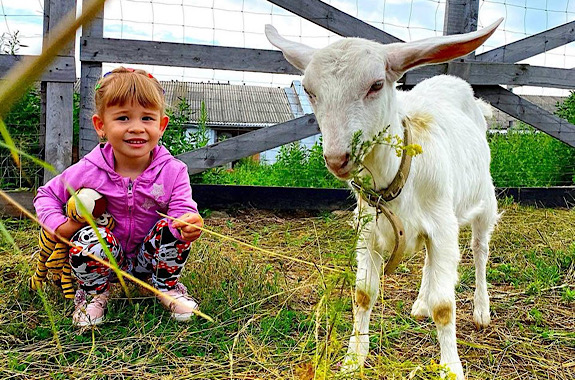 Малюнок годування тварин на зеленій фермі 