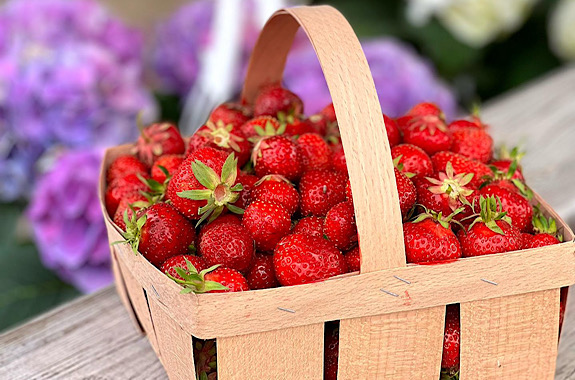 Картинка сбор клубники на зеленой ферме