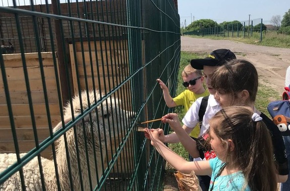 Екскурсія в екопарк Ковалівка