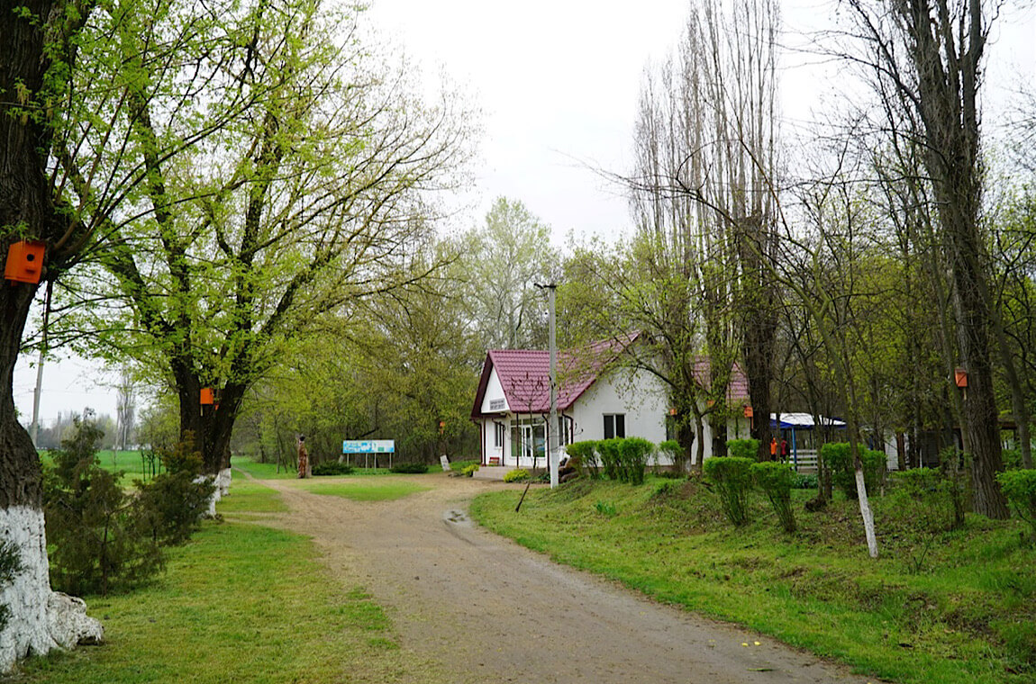 Зображення прогулянка парком