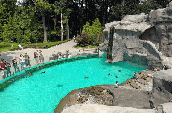 Картинка Краков туры