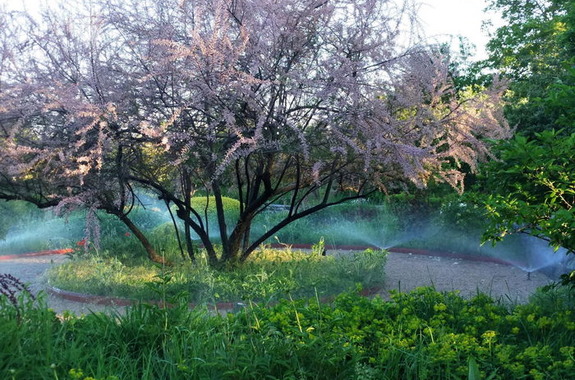 Картинка парк светланы