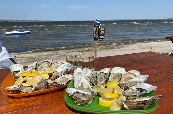 Картинка дегустація устриць на фермі устриць в Одесі