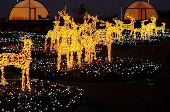 Картинка экскурсия в парк