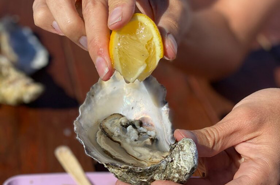 Картинка дегустація устриць в Одесі на фермі