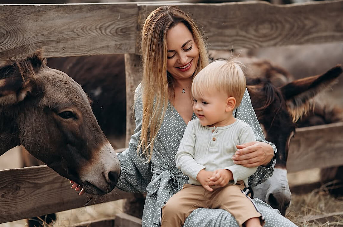 Картинка ослиная ферма