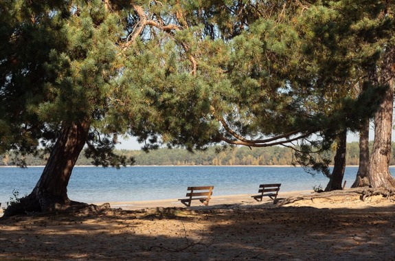 Картинка відпочинок на шацьких озерах