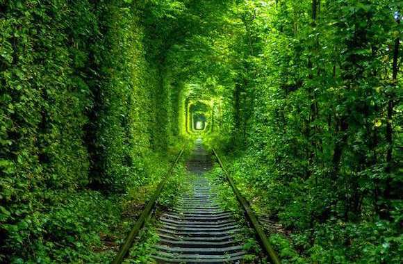 Картинка тоннель любви