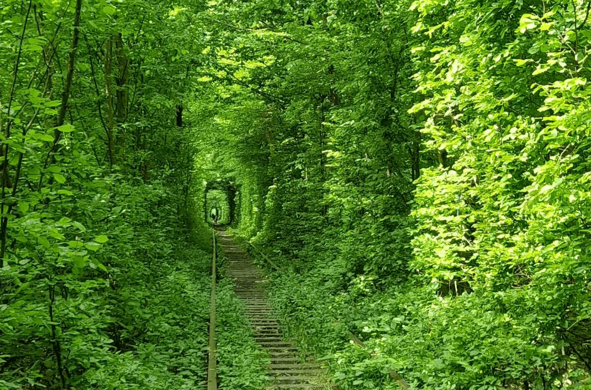 Картинка туннель любви весна