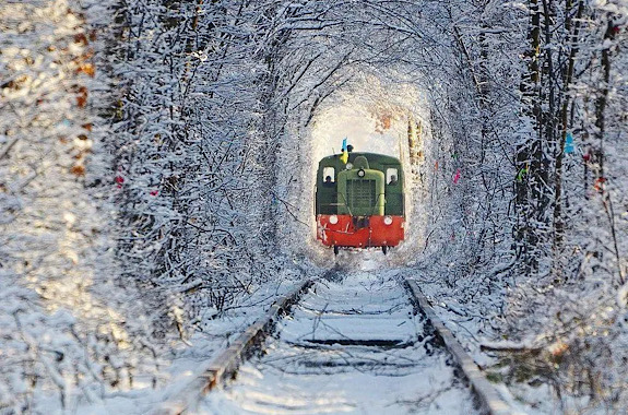 Картинка тунель кохання в Рівному
