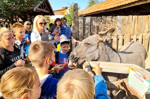 Картинка поездка в деревню на 1 день из Днепра