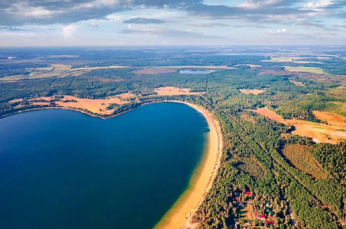Густі хвойні ліси біля озера