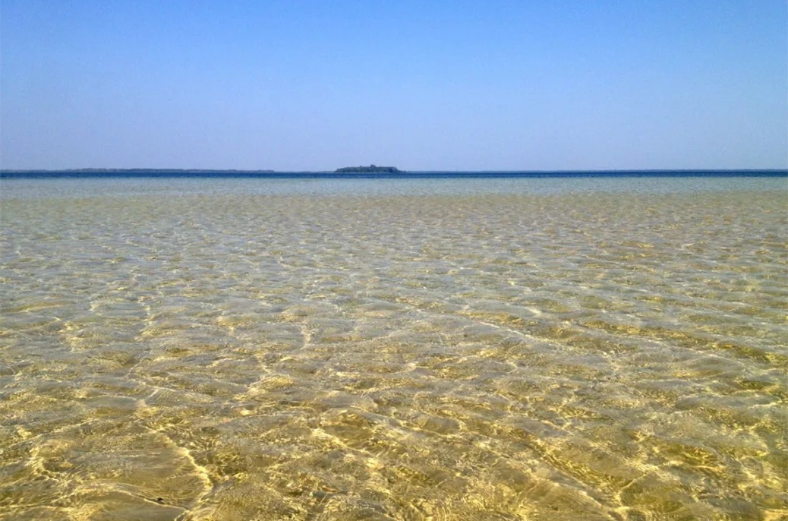 Прозора вода озера Світязь