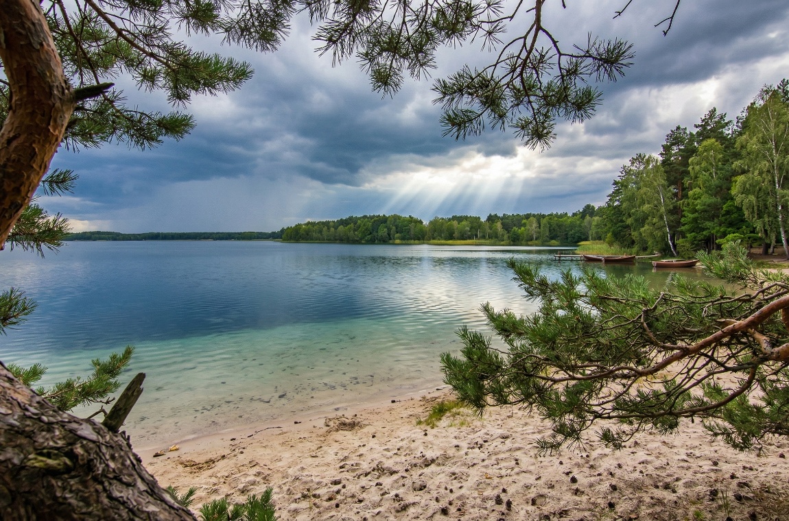 Тунель Кохання зі сплетених дерев