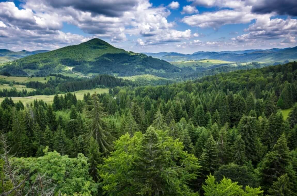 Панорама з вершини гори