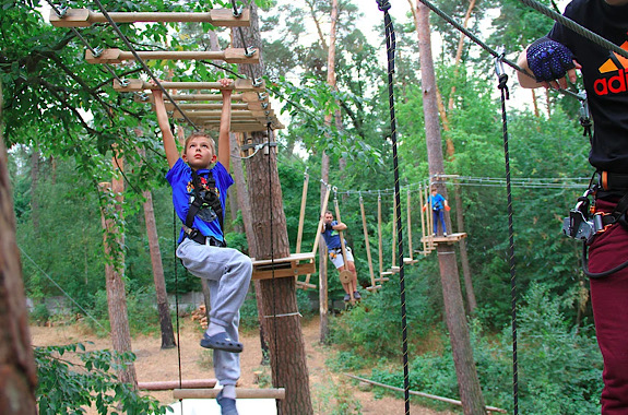 Малюнок божевільна білка