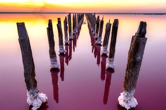 Фото поездка на розовые озера
