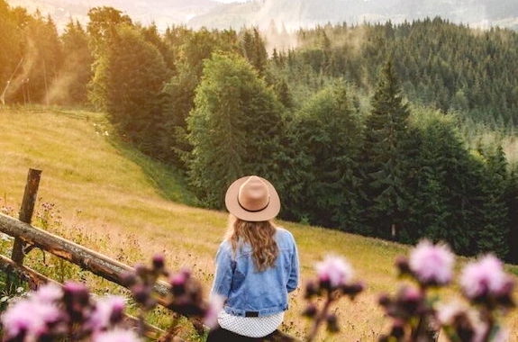 Картинка Карпати весною