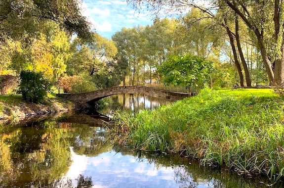 Картинка парк у Радомишлі
