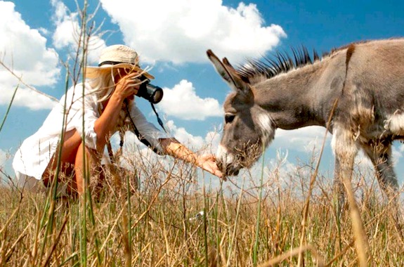 Фото тур в Асканію-Нову