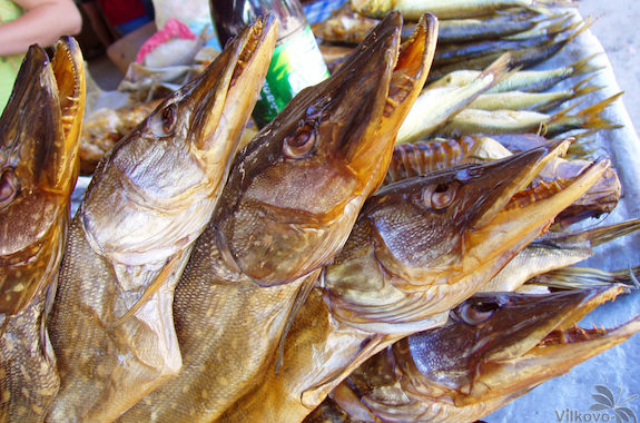 Фото тур в Вилково 