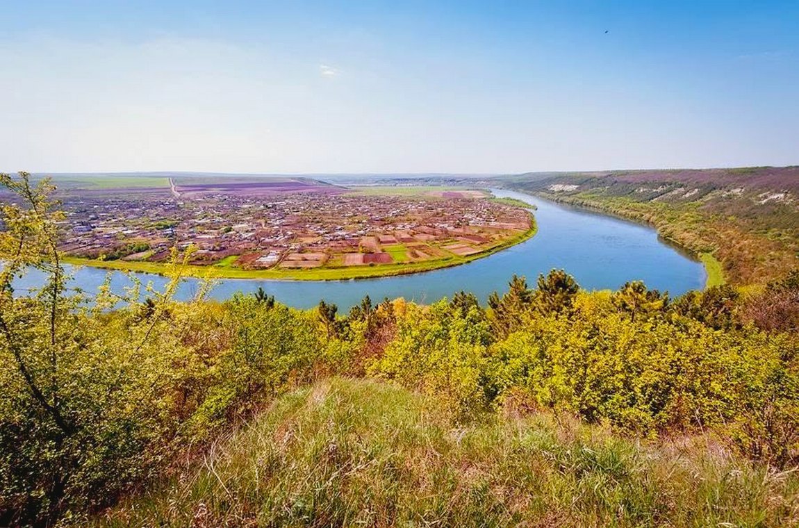 Зображення Мохната гора