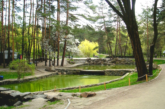 Картинка оглядова Черкаси