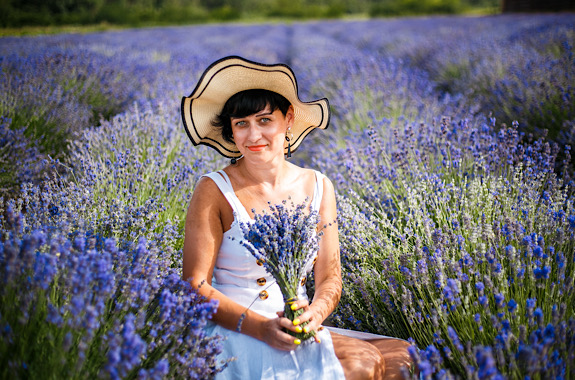 Картинка цветение лаванды